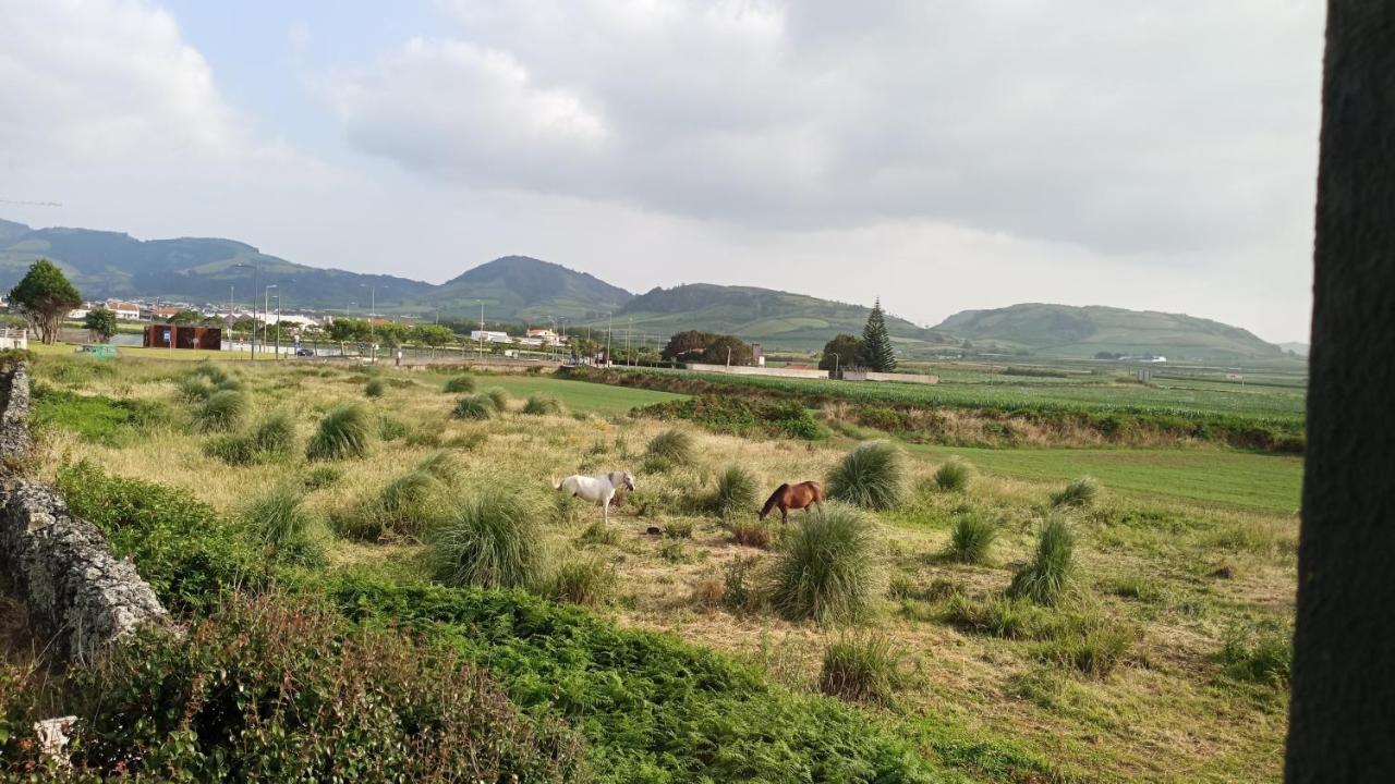 Areal De Santa Barbara Sea View Bed & Breakfast Ribeira Grande Ngoại thất bức ảnh